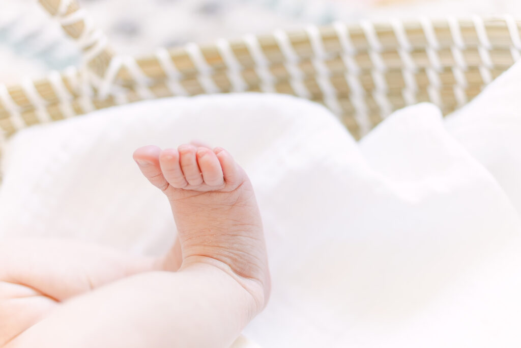 close up professional photo of tiny baby toes 